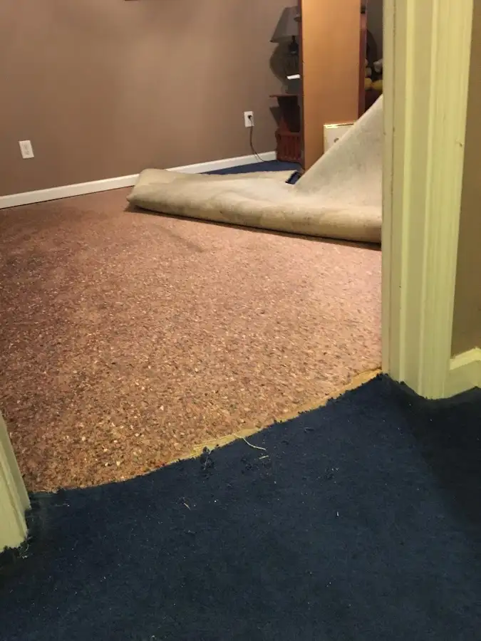 Carpet pad removal revealing water damage during Drying & Dehumidification in New Carrollton
