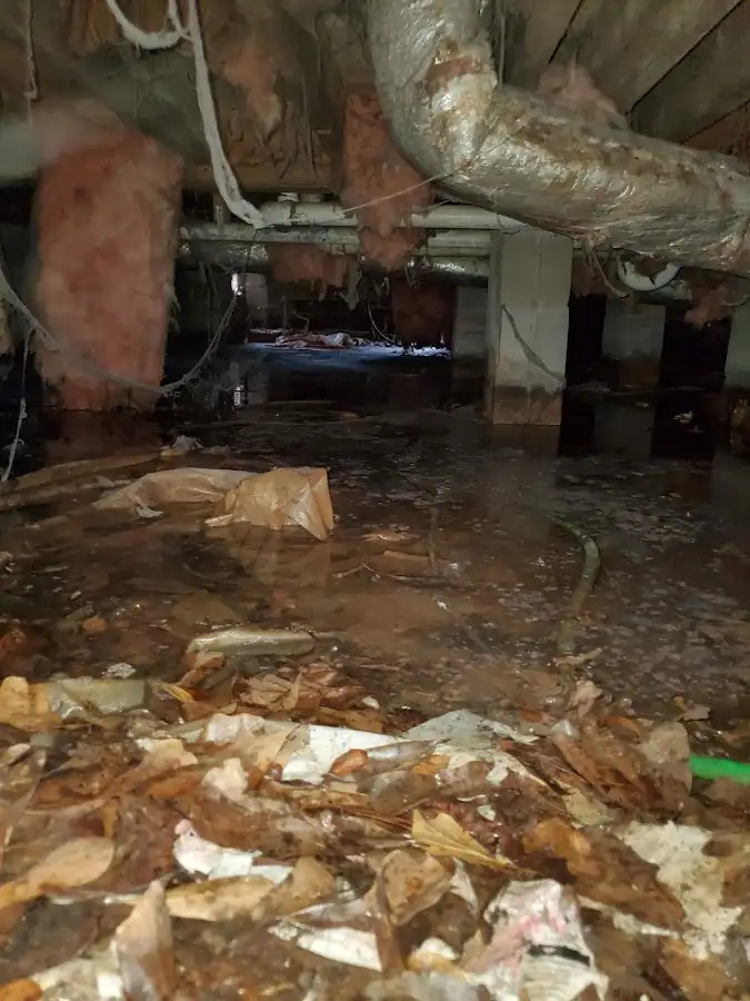 Crawl space flood assessment for Leak Detection & Repair in New Carrollton